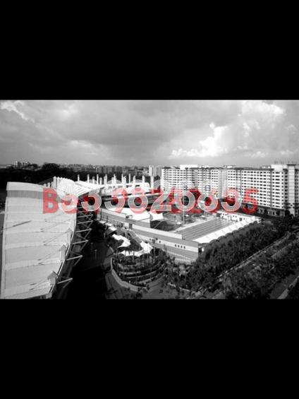 Choa Chu Kang North 5 thumbnail photo
